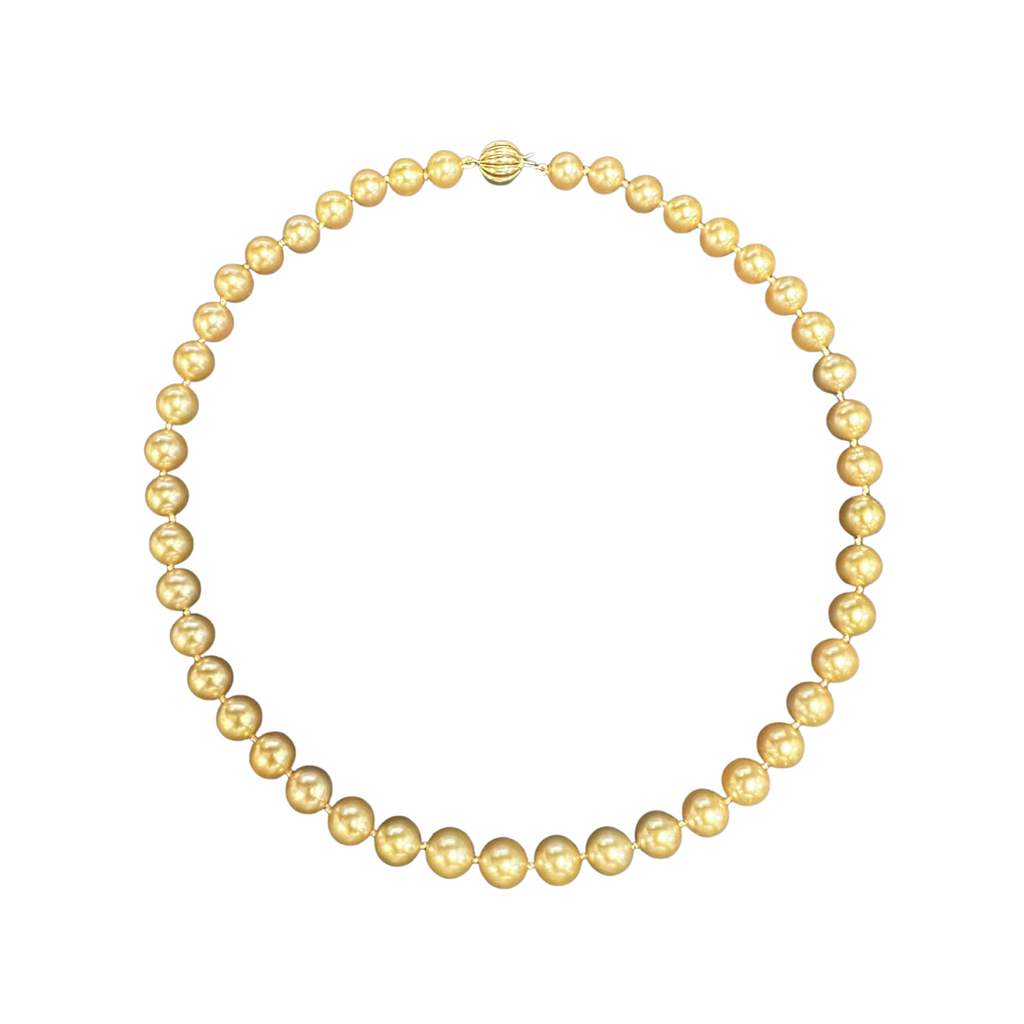 Daisy Exclusive AAA Golden South Sea Cultured Pearl Necklace with 18K Gold Clasp + Montreal Estate Jewelers